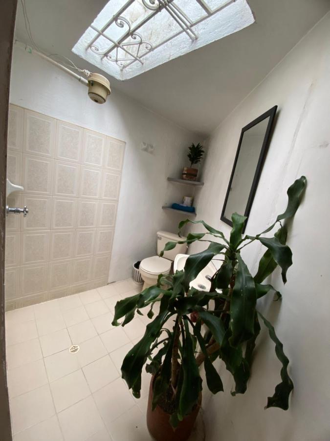 Hostal Casa Las Tias Medellín Eksteriør billede