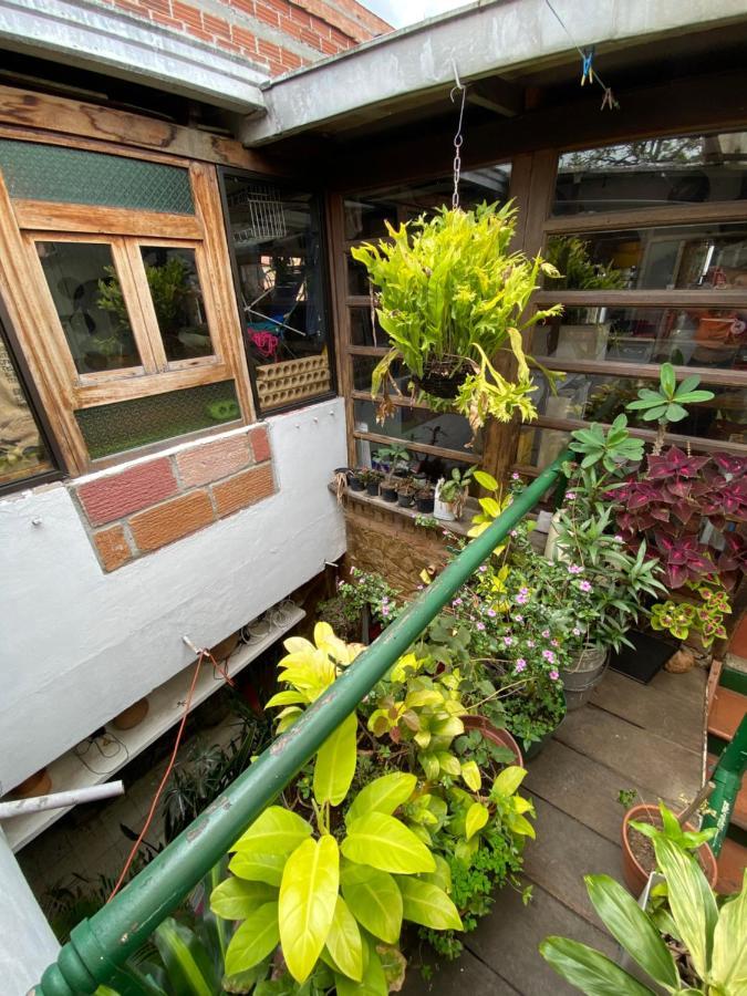 Hostal Casa Las Tias Medellín Eksteriør billede